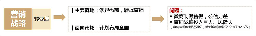 華信生物藥業(yè)營(yíng)銷模式研究（轉(zhuǎn)變后）