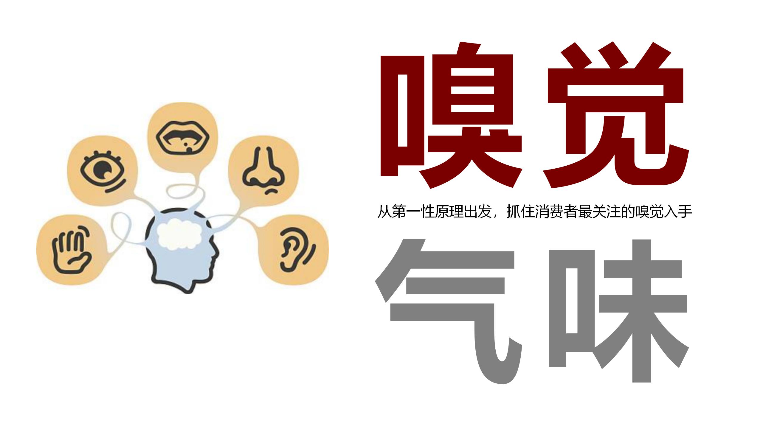 方西瓜品牌策略-20200809（STDP定位+廣告語）_01(2).jpg